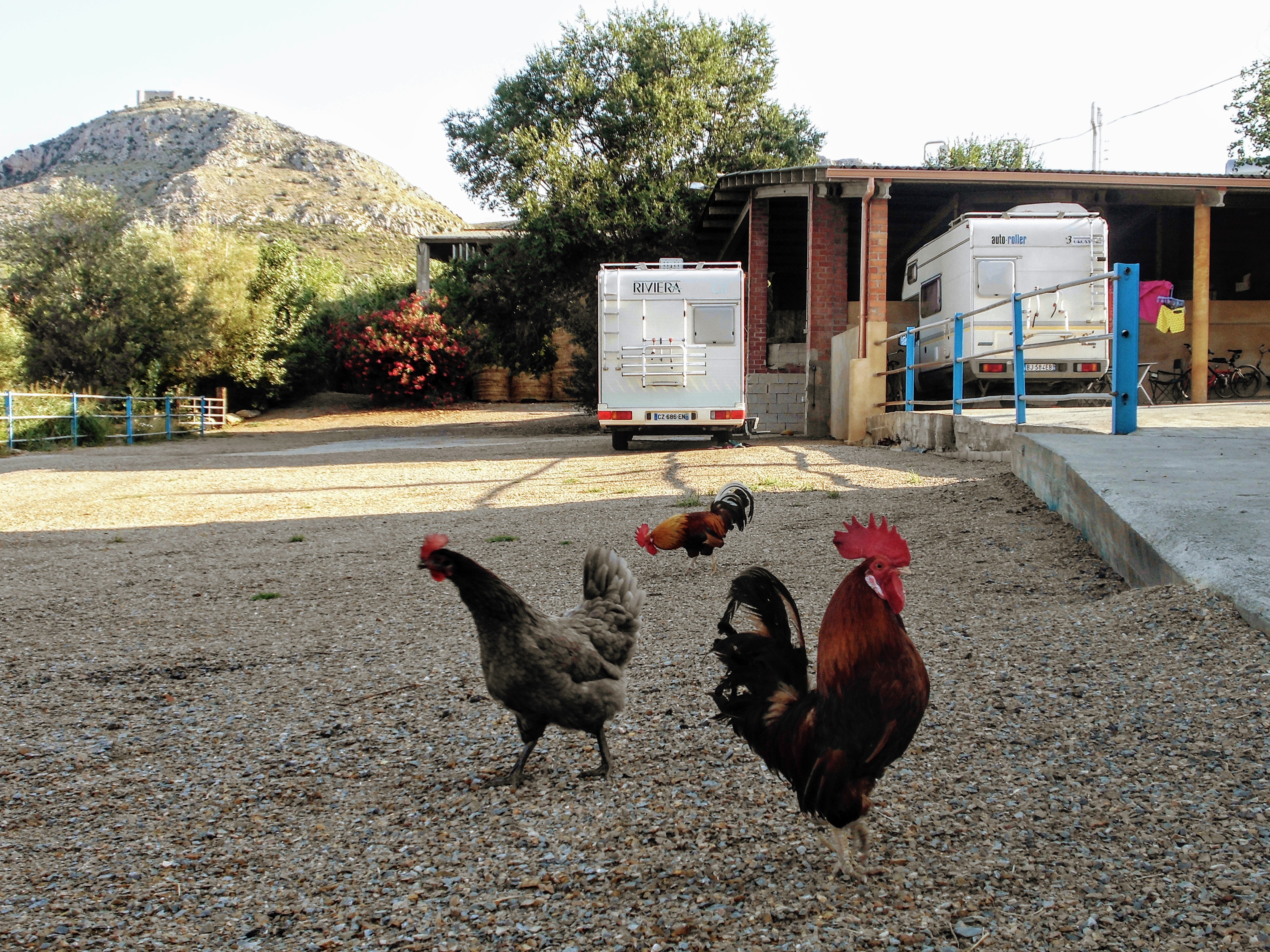 Wohnmobilstellplatz - granja - Autocaravaning La Granja