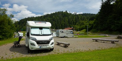 Motorhome parking space - Wohnwagen erlaubt - Röttlerweiler - Wohnmobilstellplatz an der Wehra / Todtmoos