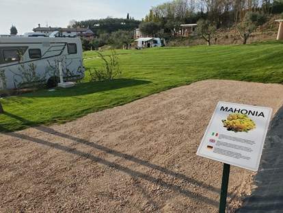 Motorhome parking space - Umgebungsschwerpunkt: Berg - Castelnuovo del Garda VR - WOHNMOBILSTELLPLATZ:
Er liegt mitten im Grünen und überblickt den großen Agricamping-Park.
Der 120 m² große Stellplatz besteht zu 50 % aus Kies und zu 50 % aus Grün und fügt sich in die grüne Umgebung des Parks ein.
Ausgestattet mit Wasser- und Stromanschluss, chemischer Drainage direkt auf dem Stellplatz, eigenem Bad für die gesamte Dauer Ihres Aufenthalts.
Geeignet für die Unterbringung von Wohnwagen / Wohnmobilen bis zu 12 Metern. - Agricamping Est Garda