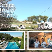 Place de stationnement pour camping-car - AgriCamping Tenuta Tredici Ulivi