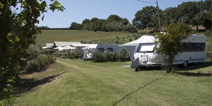 Place de parking pour camping-car - Umgebungsschwerpunkt: am Land - Adria - AgriCamping Tenuta Tredici Ulivi