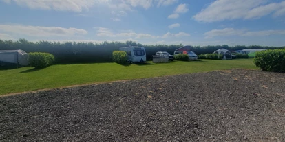 Place de parking pour camping-car - Est de l'Angleterre - Marshland Alpacas Camping & Caravaning