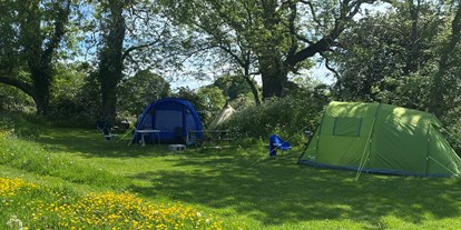 Reisemobilstellplatz - Art des Stellplatz: im Campingplatz - Großbritannien - Dale Farm Rural Campsite