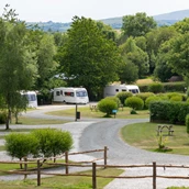 RV parking space - Woodland Springs Touring Park