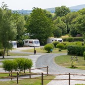 RV parking space - Woodland Springs Touring Park