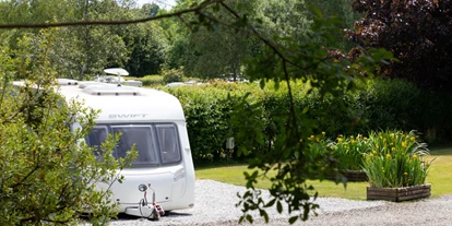 Posto auto camper - WLAN: am ganzen Platz vorhanden - Crediton - Woodland Springs Touring Park