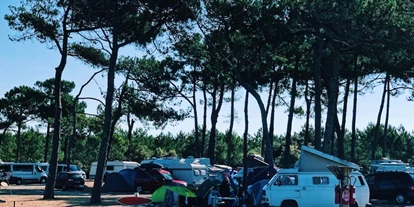 Posto auto camper - Hunde erlaubt: Hunde erlaubt - Lesparre-Médoc - Camping du Pin Sec