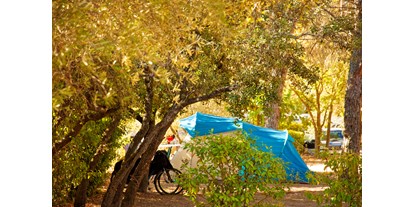 Reisemobilstellplatz - Hérault - Camping L’Olivier