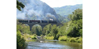 Reisemobilstellplatz - WLAN: nur um die Rezeption vorhanden - La Voulte-sur-Rhône - der Ardèche-Zug auf dem Banchet-Viadukt - Camping Le Viaduc