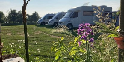 Motorhome parking space - Angelmöglichkeit - Walem - Camping de Boogaard