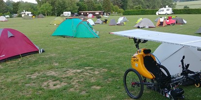 Motorhome parking space - Anderlecht - Camping Druivenland