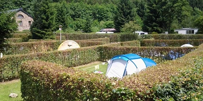 Parkeerplaats voor camper - Art des Stellplatz: im Campingplatz - België - Camping du Moulin