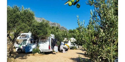 Reisemobilstellplatz - SUP Möglichkeit - Podaca - mjesta u kampu smještena između stabala maslina - Mini Camp Podaca