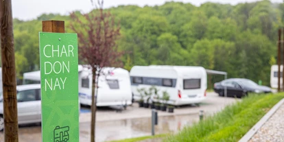 Place de parking pour camping-car - Umgebungsschwerpunkt: Fluss - Croatie centrale - Slavonie - Wine Camp Hazic