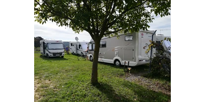 Place de parking pour camping-car - Wohnwagen erlaubt - Croatie centrale - Slavonie - Mini camping Vinia