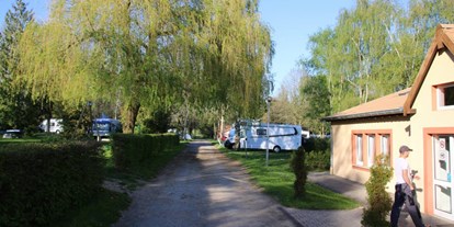 Motorhome parking space - Plütscheid - Camping Belle-Vue 2000