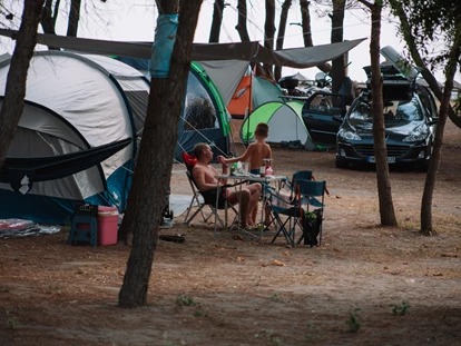 Reisemobilstellplatz - SUP Möglichkeit - Bar - Tent pitch - MCM Camping