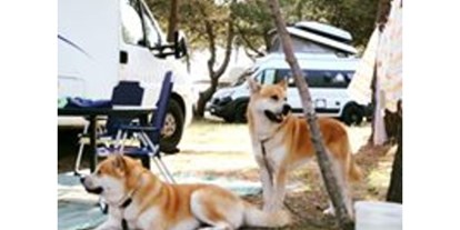 Reisemobilstellplatz - Art des Stellplatz: vor Campingplatz - Dogs - MCM Camping