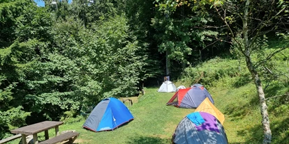 Place de parking pour camping-car - Šenčur - Kraljev hrib Camping