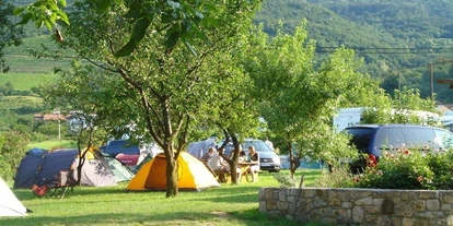 RV park - WLAN: am ganzen Platz vorhanden - Sežana - Kamp Vrhpolje