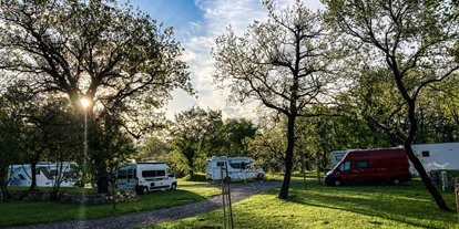 Reisemobilstellplatz - Art des Stellplatz: im Campingplatz - Ajdovščina - Kamp David