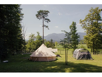 Reisemobilstellplatz - Entsorgung Toilettenkassette - Luče - Part of our meadow with mountain view. - Forest Camping Mozirje