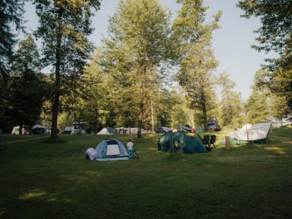 Reisemobilstellplatz - camping.info Buchung - Part of our meadow with mountain view. - Forest Camping Mozirje