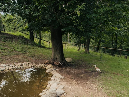 Reisemobilstellplatz - Frischwasserversorgung - Luče - Part of our mini animal park - Forest Camping Mozirje