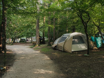 Reisemobilstellplatz - Wohnwagen erlaubt - Forest area pitches - Forest Camping Mozirje