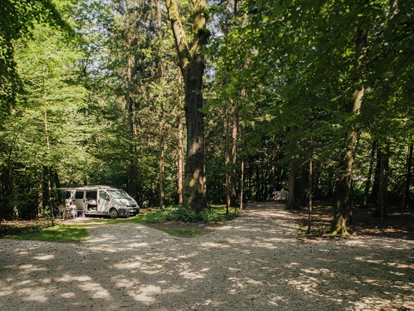 Reisemobilstellplatz - Entsorgung Toilettenkassette - Luče - Forest area pitches - Forest Camping Mozirje