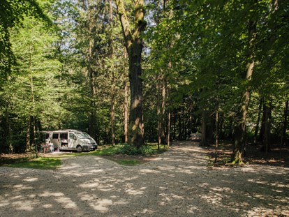 Motorhome parking space - SUP Möglichkeit - Snovik - Forest area pitches - Forest Camping Mozirje