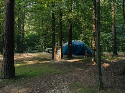 Reisemobilstellplatz - Entsorgung Toilettenkassette - Luče - Forest area pitches - Forest Camping Mozirje