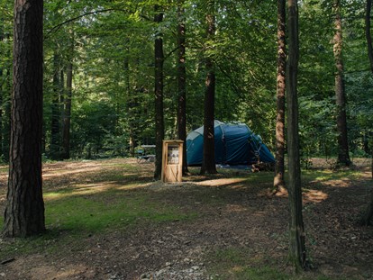 Reisemobilstellplatz - Umgebungsschwerpunkt: Fluss - Forest area pitches - Forest Camping Mozirje