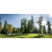 Wohnmobilstellplatz - Part of our Forest camping Mozirje - Forest Camping Mozirje