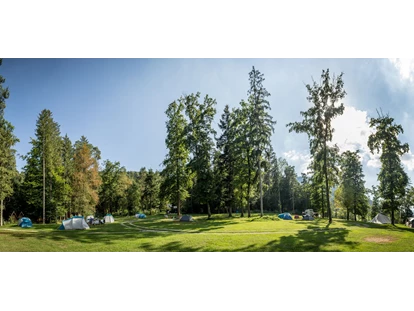 Reisemobilstellplatz - WLAN: am ganzen Platz vorhanden - Luče - Part of our Forest camping Mozirje - Forest Camping Mozirje