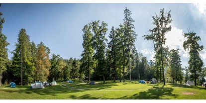 Reisemobilstellplatz - Umgebungsschwerpunkt: Strand - Slowenien - Part of our Forest camping Mozirje - Forest Camping Mozirje