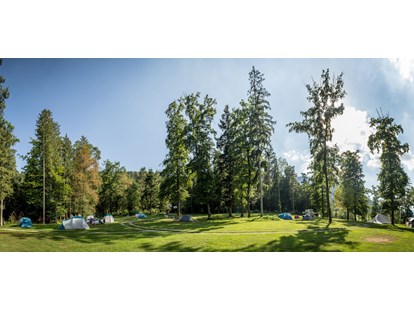 Reisemobilstellplatz - Art des Stellplatz: bei Gewässer - Pomurje / Pohorjegebirge & Umgebung / Savinjska - Part of our Forest camping Mozirje - Forest Camping Mozirje