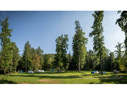 Reisemobilstellplatz - Art des Stellplatz: ausgewiesener Parkplatz - Luče - Part of our Forest camping Mozirje - Forest Camping Mozirje