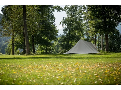 Reisemobilstellplatz - Entsorgung Toilettenkassette - Luče - Part of our Forest camping Mozirje - Forest Camping Mozirje
