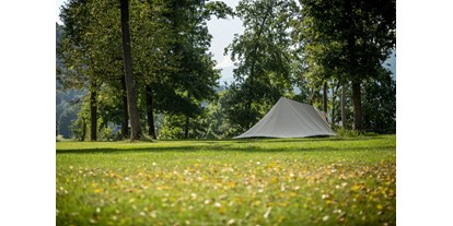 Reisemobilstellplatz - Entsorgung Toilettenkassette - Snovik - Part of our Forest camping Mozirje - Forest Camping Mozirje