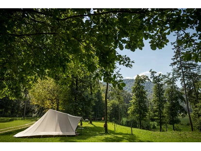 Reisemobilstellplatz - WLAN: am ganzen Platz vorhanden - Luče - Part of our Forest camping Mozirje - Forest Camping Mozirje