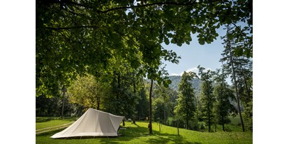 Reisemobilstellplatz - Umgebungsschwerpunkt: Fluss - Pomurje / Pohorjegebirge & Umgebung / Savinjska - Part of our Forest camping Mozirje - Forest Camping Mozirje