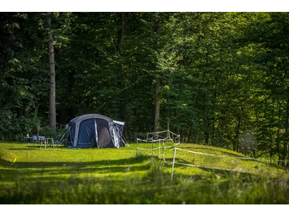 Reisemobilstellplatz - Frischwasserversorgung - Luče - Part of our Forest camping Mozirje - Forest Camping Mozirje