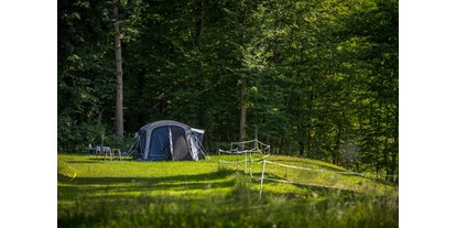 Reisemobilstellplatz - Rečica ob Savinji - Part of our Forest camping Mozirje - Forest Camping Mozirje