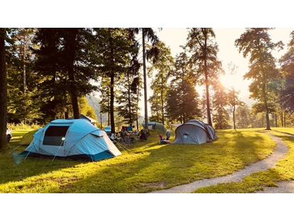 Reisemobilstellplatz - Frischwasserversorgung - Luče - Part of our Forest camping Mozirje - Forest Camping Mozirje