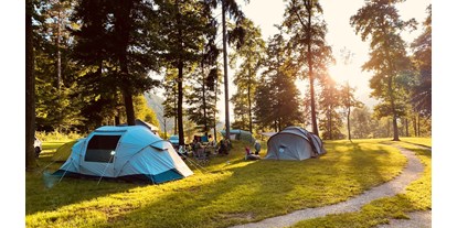 Reisemobilstellplatz - Umgebungsschwerpunkt: Berg - Part of our Forest camping Mozirje - Forest Camping Mozirje
