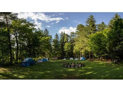 Reisemobilstellplatz - Angelmöglichkeit - Luče - Our main meadow with rental equipped tents. - Forest Camping Mozirje