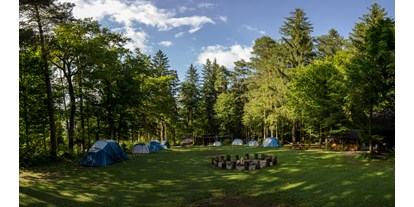 Reisemobilstellplatz - Duschen - Mozirje - Our main meadow with rental equipped tents. - Forest Camping Mozirje