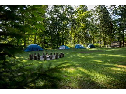 Reisemobilstellplatz - Art des Stellplatz: ausgewiesener Parkplatz - Luče - Our main meadow with rental equipped tents. - Forest Camping Mozirje