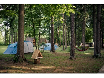 Reisemobilstellplatz - Frischwasserversorgung - Luče - Part of chill out place - Forest Camping Mozirje